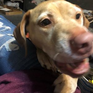 Meet your Posher, Kady